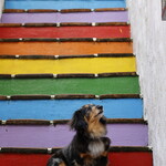 志摩地中海村 - サルジニアゾーン