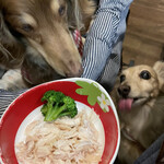 ぱんでぶーび - ささみブロッコリー 350円