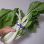 松原農園 - タイナ