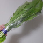 松原農園 - 野沢菜