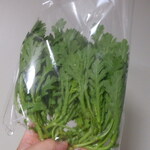 松原農園 - 白菜