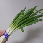 松原農園 - 長ネギ