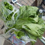 松原農園 - 自転車だと　こんな感じ