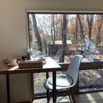Forest Vale - View of the Garden from Inside the Cafe