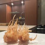 Tempura Kawa Tatsu - 