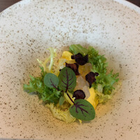 Yoichi LOOP - 