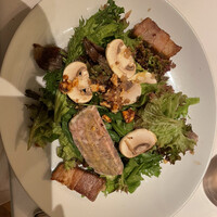 Benoit Alain Ducasse - 