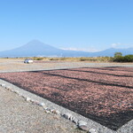 Kurasawaya - （おまけ）富士川河口。運がよければ、桜海老の天日干しが見られる