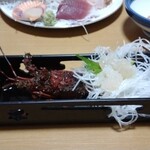 豊 - 伊勢海老の刺身