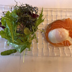 Tokyo食堂 - サーモンマリネ