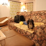 リアス バイ ココチャ - ワンワンスイート