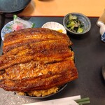 うな春 - 極丼（ご飯大盛り無料）