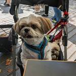 ベーカリー&レストラン 沢村 - 