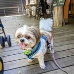 ベーカリー&レストラン 沢村 - 