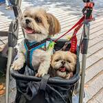 ベーカリー&レストラン 沢村 - 