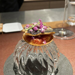 イル アオヤマ - 