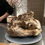 イル アオヤマ - 