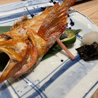 寿司 はせ川 心斎橋本店 -  寿司 はせ川 心斎橋本店 -