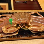 宮坂 - 料理写真:大きい間人蟹