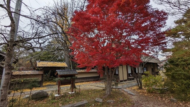 春蘭亭（シュンランテイ） - 登米市その他（喫茶店）の写真