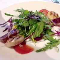 HATSUNEYA GARDEN - 前菜
