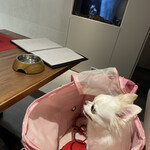 やさいや 鉄板焼野菜 六本木店 - ワンちゃんには直ぐきお水を出して頂き、なんて気が利くのでしょう！ワンちゃんに話しかけもしてくれワンちゃんも緊張ほぐれますね！