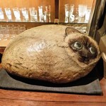 ウイスキーキャット - 