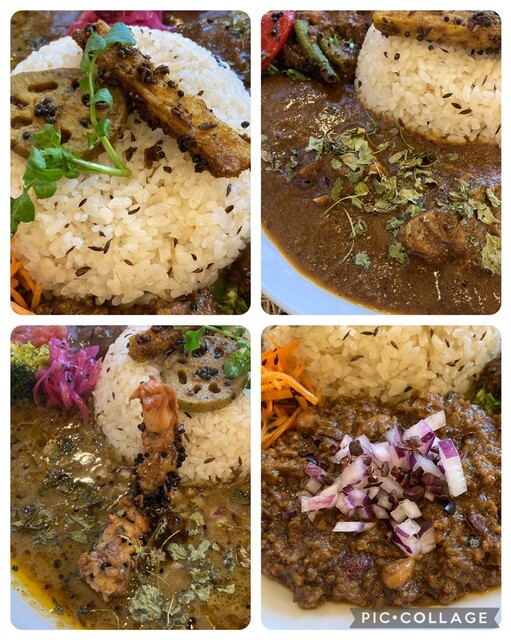 NATURE CURRY Soryu photo 2