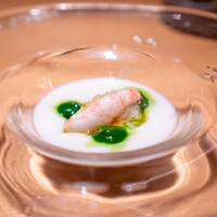 malca - 牡丹海老、かぶ、春菊、冷製スープ