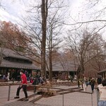 Maruyama Coffee Harunireterasuten