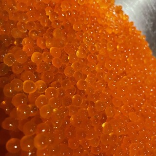 イザカヤ コン_2