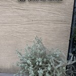 シャントレル - 