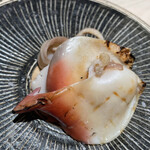 菊鮨 - ホッキ貝