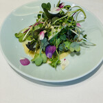 ナベノ-イズム - スプラウトとエディブルフラワーのサラダ