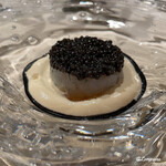 プチレストラン ブーケ・ド・フランス - キャビアとアオリイカとカリフラワーのエスプーマ