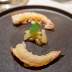 レストラン オオツ - 2022.11 駿河湾産ラングスティーヌ フヌイユ オレンジソース