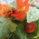 PEACE CAFE & STORE - ●サラダはベビーリーフ、ルッコラ、レタス、パプリカ、ミニトマト、バジルにエディブルフラワー。酢と油くらいでもおいしく