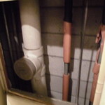 フライドチキン - トイレ