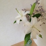 カフェ チルコリーノ - 