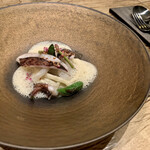 レヴォ - アオリイカ