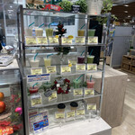 Botanical Shop - 
