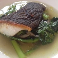 ル・ブルギニオン - メイン１　ヒラメのポアレ　とりスープコンソメ仕立て 菜の花とともに