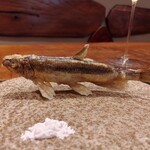 傳 - (2022/11 訪問)ししゃも。