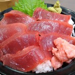 三崎豊魚 - まぐろ丼1100円 しゃり大盛無料 山葵多め