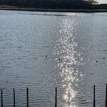 お好み焼き 鉄ちゃん - 長閑で温かい景色　眺めていると眠くなるｗ