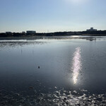 お好み焼き 鉄ちゃん - 谷津干潟です　渡り鳥の飛来地として有名です