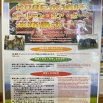 とんかつ 栄ちゃん - 