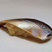 北新地 鮨 栞庵 やましろ - 握り　小肌