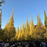 キハチ 青山本店 - 