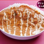 アーユルヴェーダ - カツカリー_ランチ
